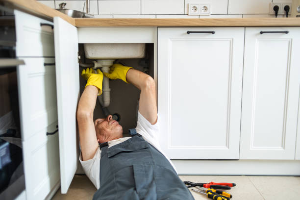  Croswell, MI Plumbing Pros
